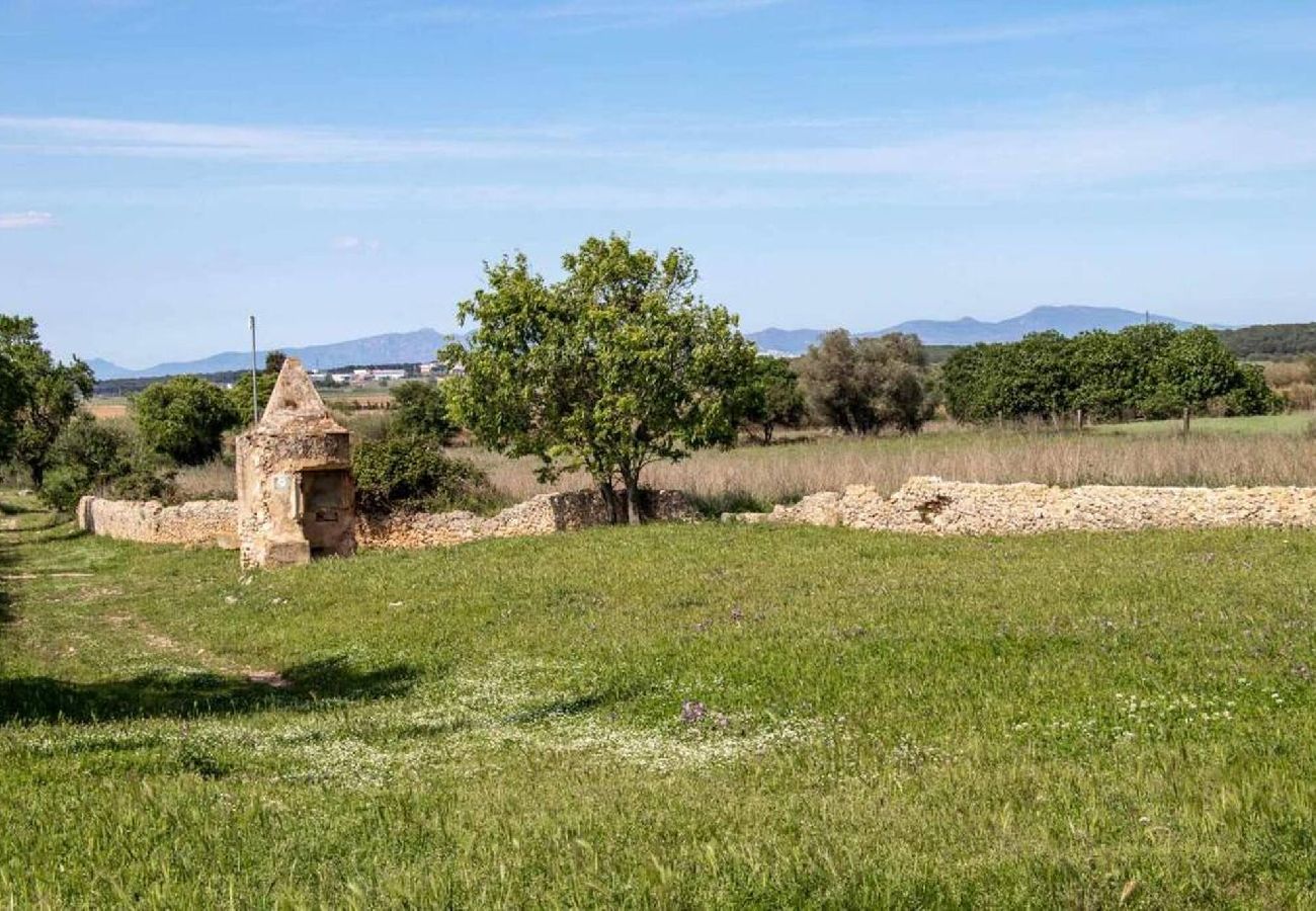 Apartment in Torroella de Montgri - Ocells del Montgri-apartamento rural en el Empordà
