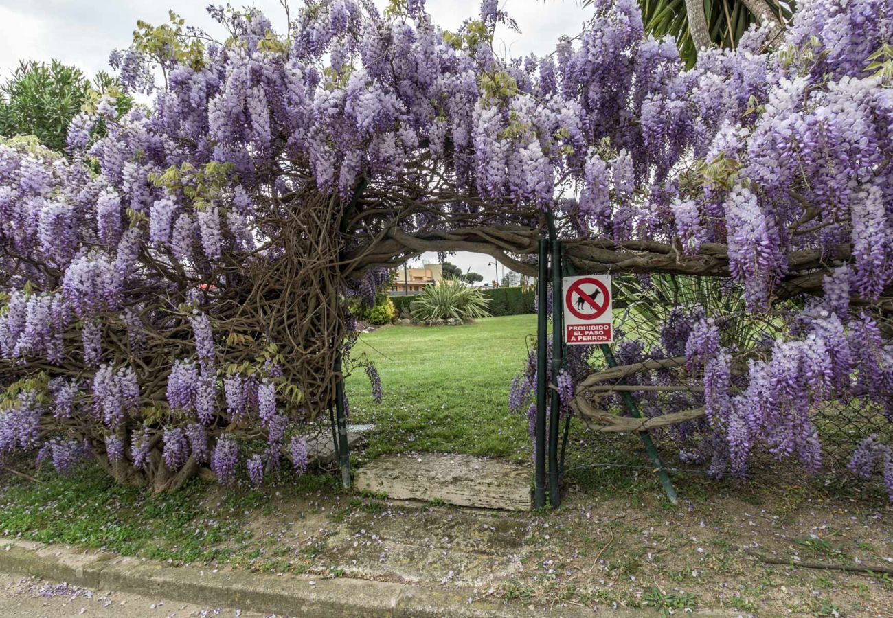 Apartamento en S´agaro - 26.50 S'Agaro Creu St Pol C6