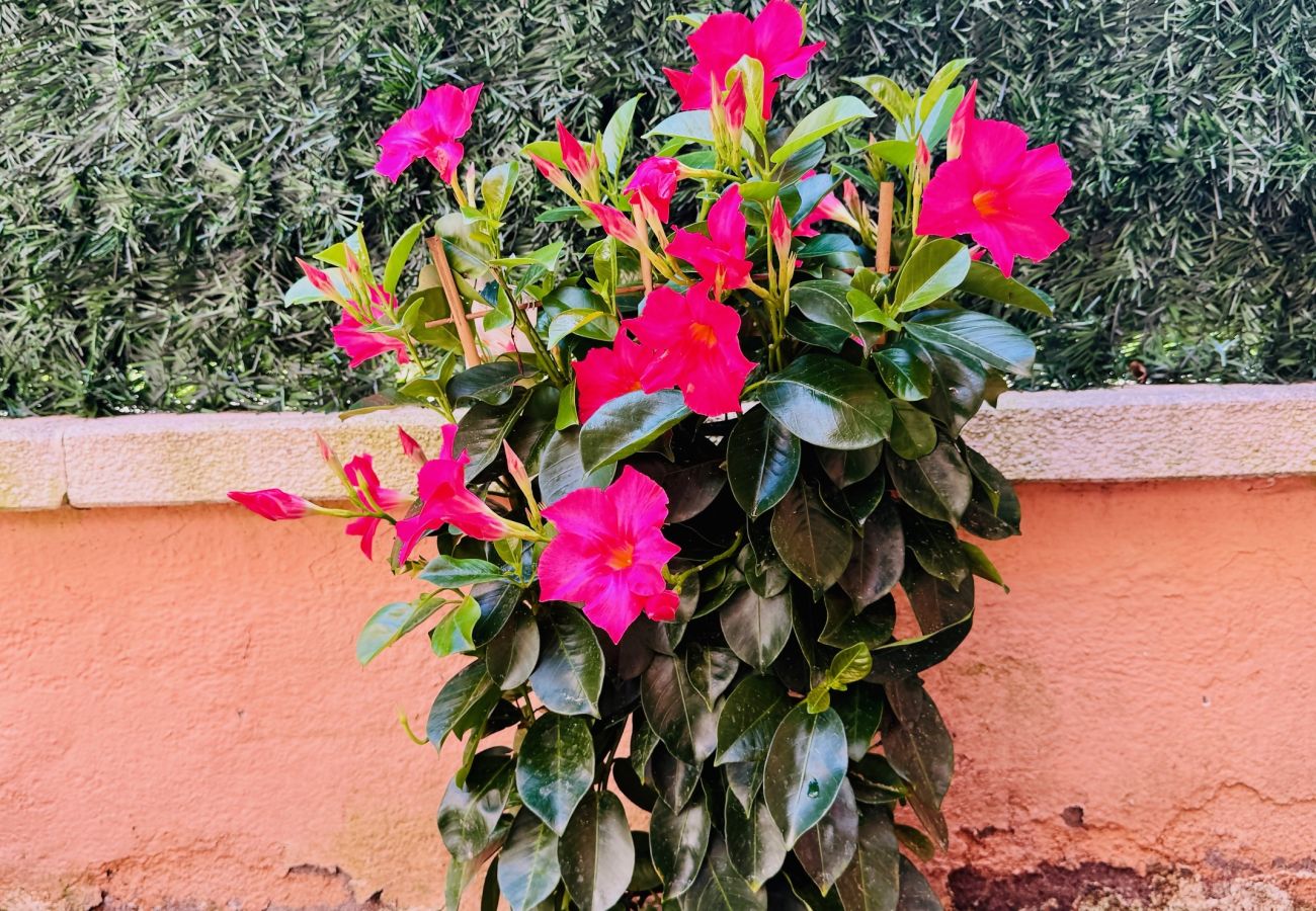 Appartement à S´agaro - 22.11 GIRONES Jardín privado y piscina com