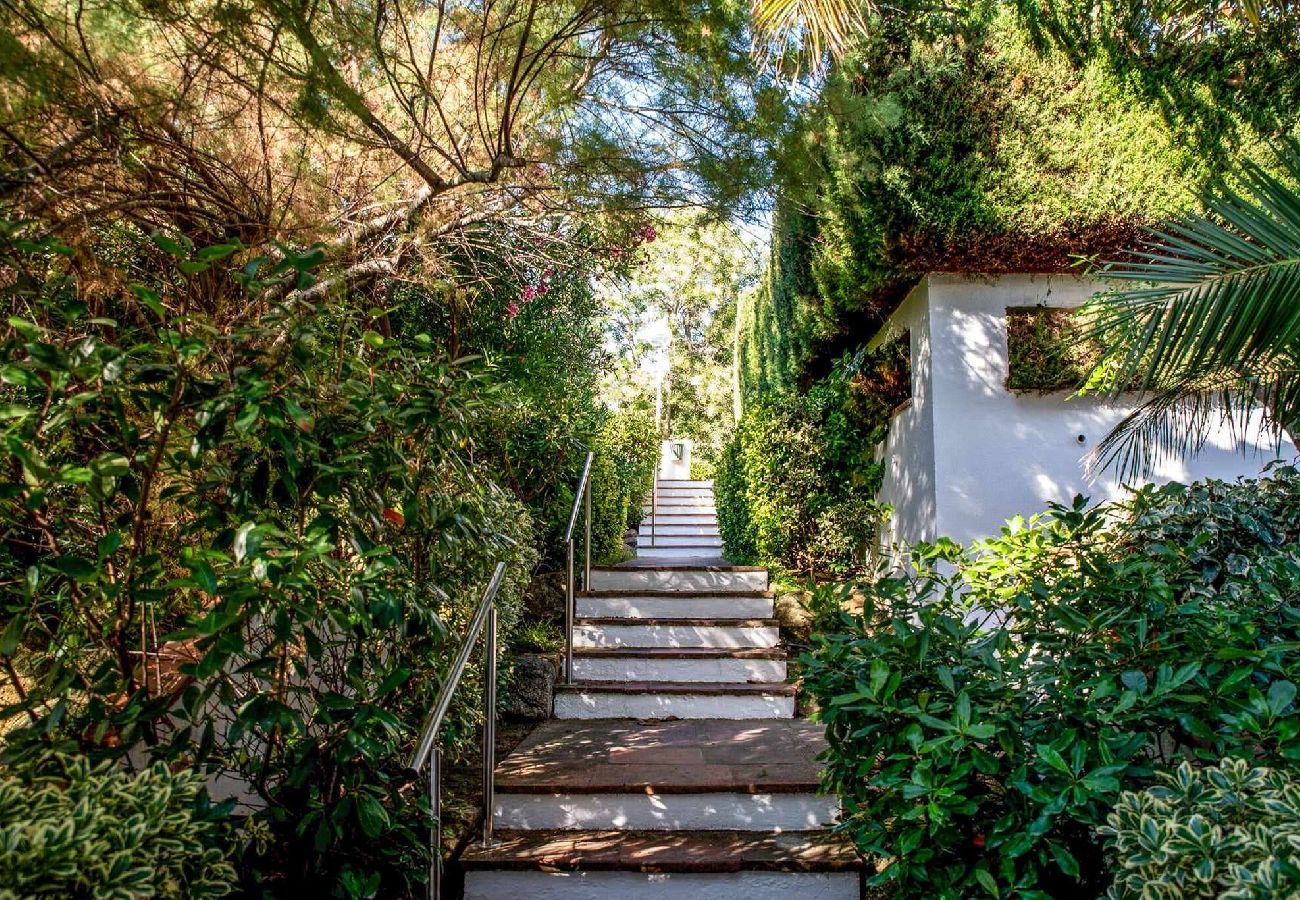 Apartament en S´agaro - 18.00 Voramar 8 Ii bxs b  Apartamento con jard&